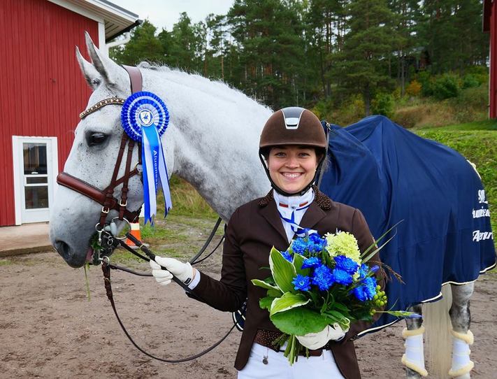 aluemestari2017
